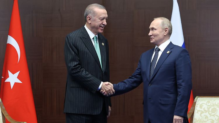"Beide brauchen einander", sagt der türkische Außenpolitik-Experte Hüseyin Bagci über Erdogan und Putin.