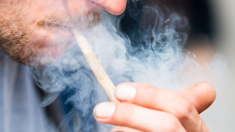 Cannabis macht 60 Prozent der Delikte im Bereich Drogenhandel aus.