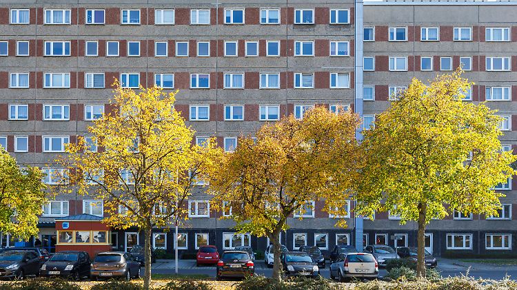 Im Schnitt sollen Wohngeld-Haushalte künftig monatlich rund 370 Euro bekommen.