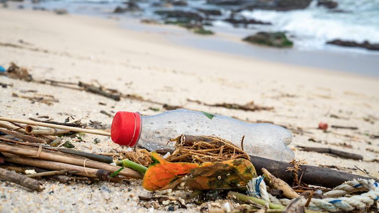 Coca-Colas Plastik-Verschmutzung zöge sich an Stränden entlang, bedecke das Meer und ersticke einzigartige Wildnis, so die Umweltschützer der Environmental Justice Foundation. (Archivbild)