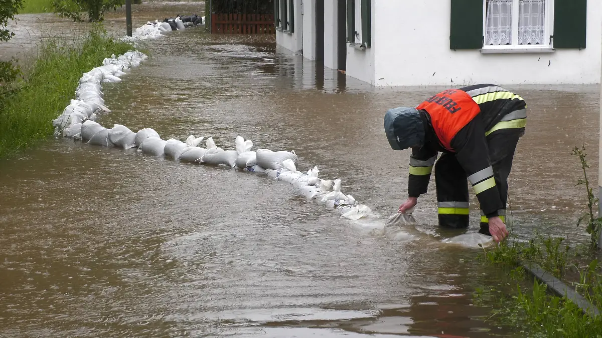 4d2f911e0dab66e3d52b9fccc1230984