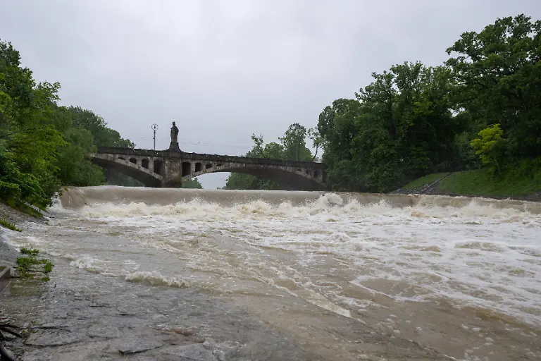 41d4db9209540e4c5b2f7499601e9659