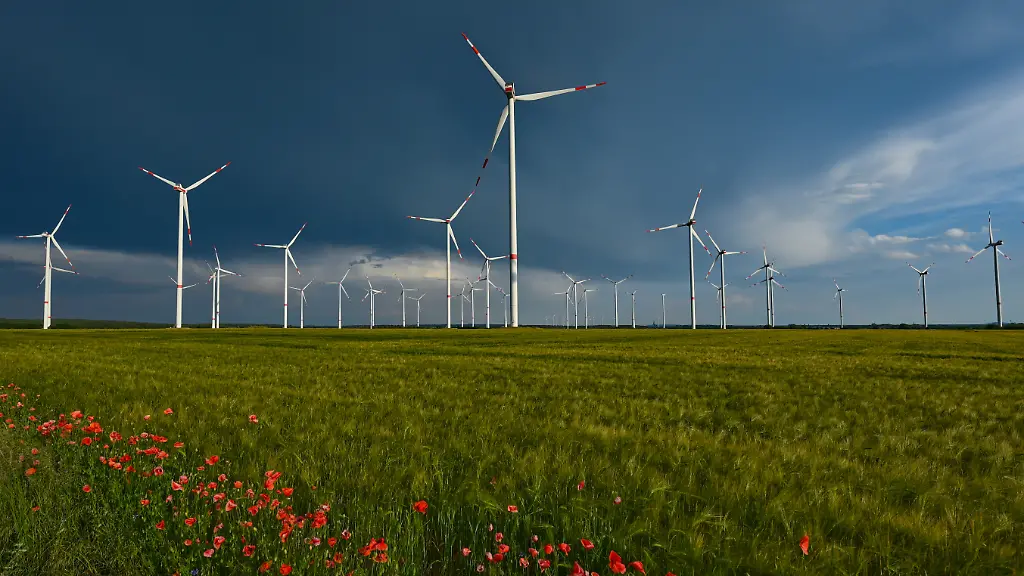 Die-Mobilisierung-von-privatem-Kapital-sei-fuer-den-vorgeschlagenen-Energiewende-Fonds-von-zentraler-Bedeutung-Dafuer-werden-risikoreduzierende-staatliche-Garantien-durch-Bund-und-Laender-vorgeschlagen