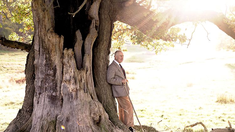 Ab sofort ist König Charles Ranger des Windsor Great Parks, teilt der Buckingham Palast mit.