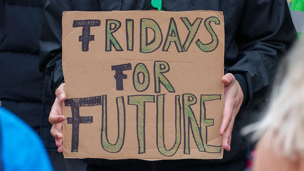Ein-Kundgebungsteilnehmer-haelt-ein-Schild-Fridays-for-Future-in-seinen-Haenden