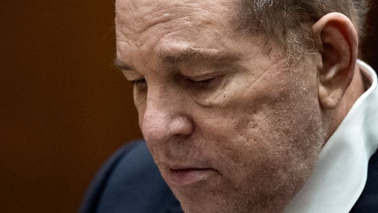 Der frühere Filmproduzent Harvey Weinstein bei einer Anhörung vor einem Gericht in Los Angeles.