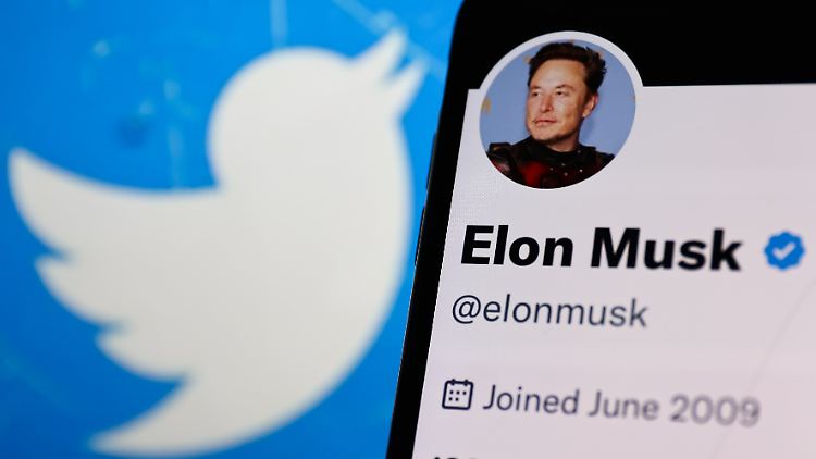 Musk twittert gerade, was das Zeug hält: darunter auch die Mitteilung, dass der blaue Haken für acht Dollar erst wieder Ende des Monats möglich ist.