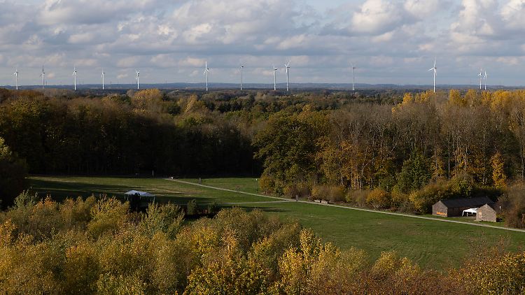 In der Varusschlacht im Jahr neun nach Christus fanden mehr als 10.000 Menschen den Tod.