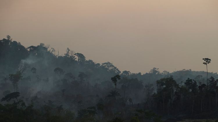 Lulas Vorgänger Bolsonaro hatte Maßnahmen zum Klimaschutz weitestgehend zurückgefahren und den Regenwald der Forst- und Landwirtschaft überlassen.