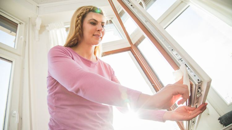 Die Dichtungen der Fenster halten sich länger, wenn man sie regelmäßig pflegt.