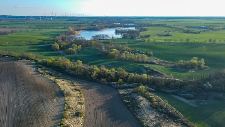 Von den noch 91.000 Hektar Fläche im Besitz der BVVG soll nur ein Bruchteil verkauft werden.