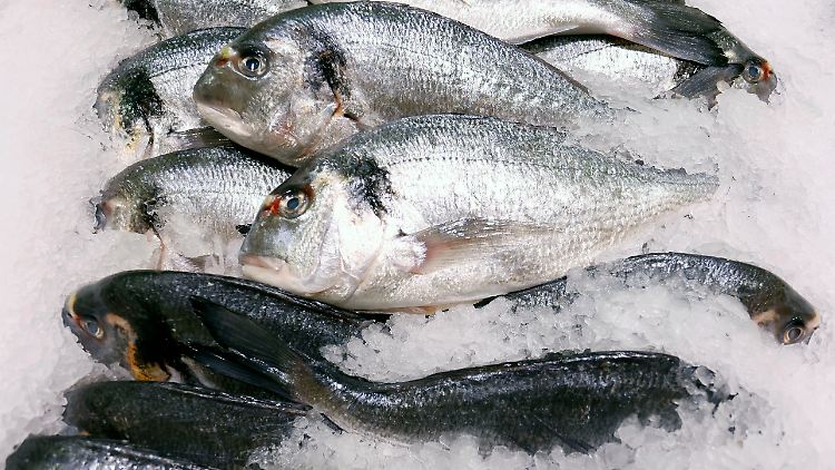 Nach Angaben des Fisch-Informationszentrums verzehrten die Deutschen im Jahr 2020 etwa 1,2 Mio. Tonnen Fisch und Meeresfrüchte. 