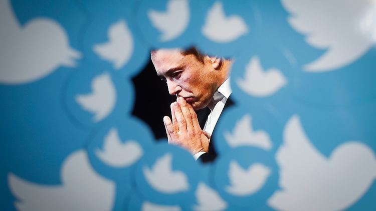 Elon Musk hat 44 Milliarden US-Dollar in Twitter investiert.