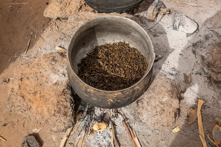 RS21655-Leaves-as-survival-food