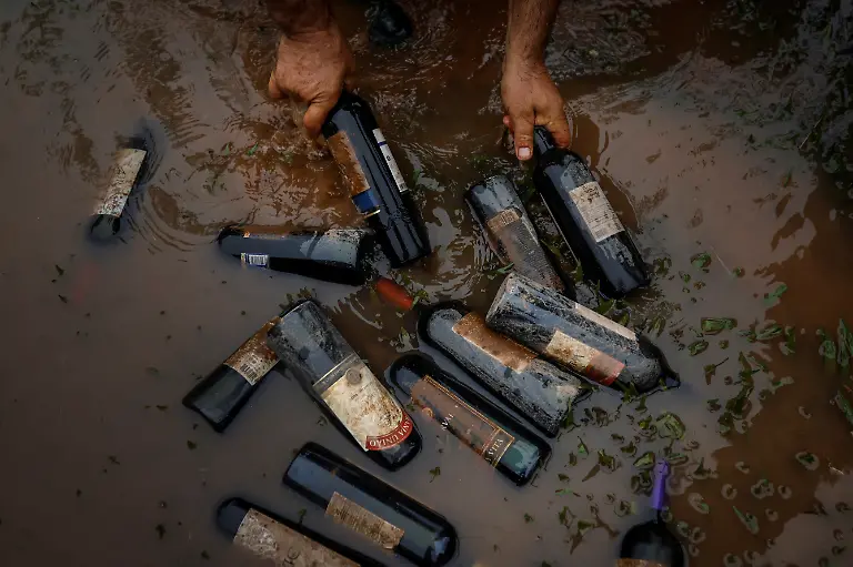 2024-05-29T100155Z-1595029365-RC2NN7AECF7H-RTRMADP-3-BRAZIL-RAINS-FARMERS