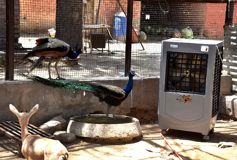 c7f78baee8a24221173ef0fe49cc3c70