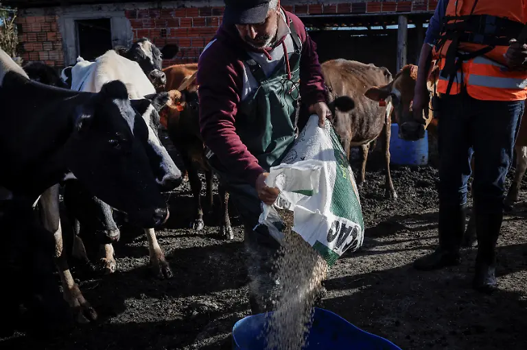 2024-05-29T100137Z-1486071316-RC26R7A6Q2Q7-RTRMADP-3-BRAZIL-RAINS-FARMERS