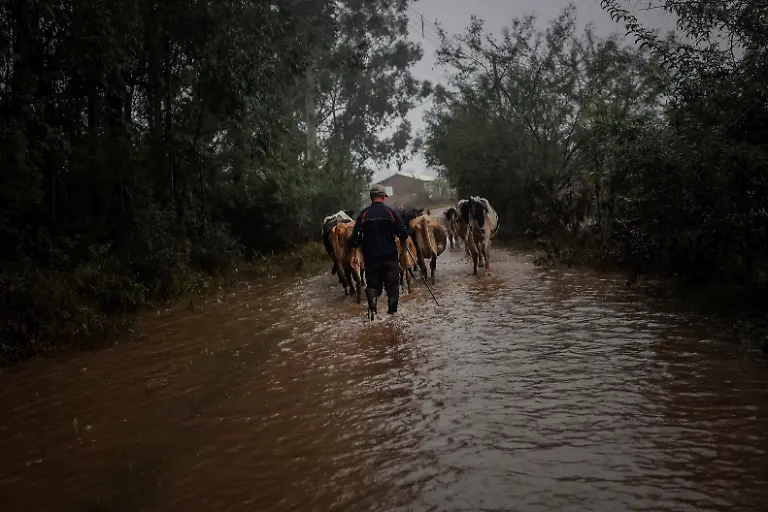 2024-05-29T100135Z-1974826018-RC2EO7AIKISB-RTRMADP-3-BRAZIL-RAINS-FARMERS