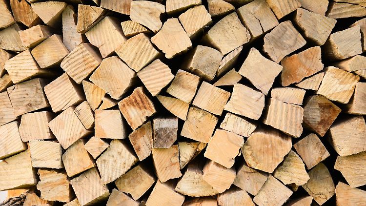 Besonders in Rheinland-Pfalz gibt es viele Anzeigen wegen Holz-Klau.