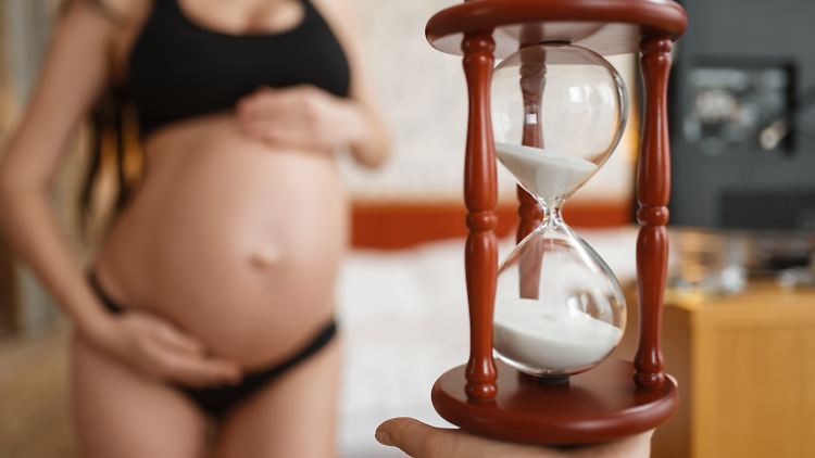 Die Risiken einer Frühgeburt steigen nicht, wenn Frauen nach einer Fehlgeburt gleich wieder schwanger werden,  zeigt eine Studie mit Daten von Zehntausenden Frauen in Norwegen.