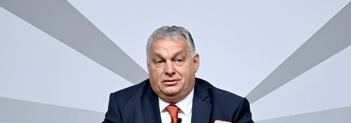 319430669.jpg