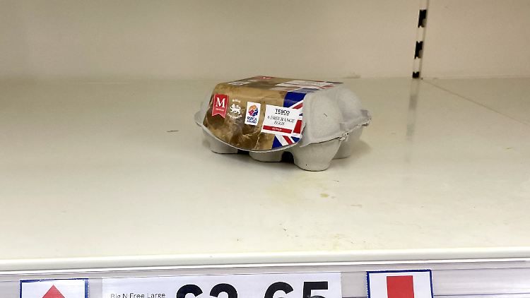 Seit dem 7. November muss alles Geflügel in England in Ställen bleiben, um das Ausbreitungsrisiko der Vogelgrippe zu minimieren.