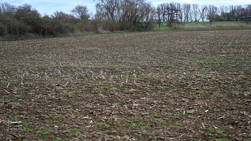 Die-Rheinaue-bei-Meerbusch