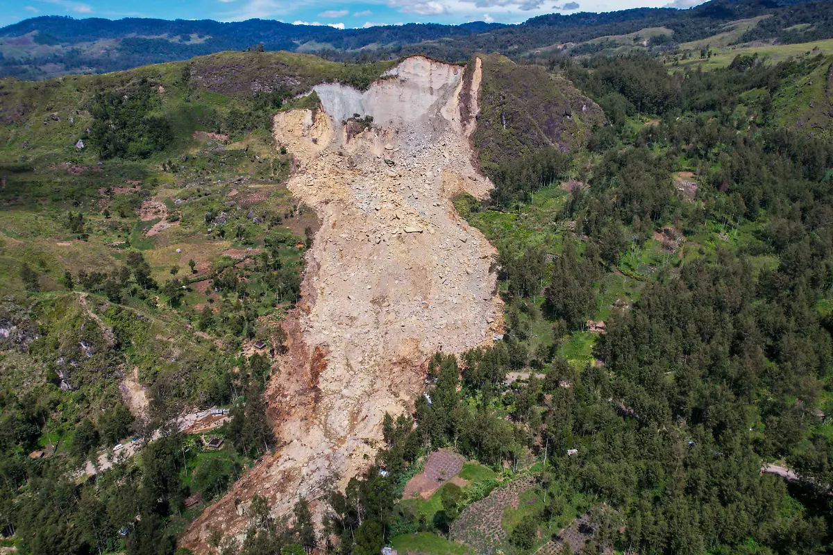 2665731c98041a0ab9e5f160f9f429cf