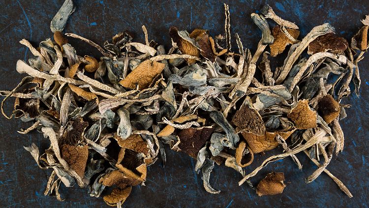 Der in den Pilzen enthaltene Wirkstoff Psilocybin könne Menschen helfen, aus ihren negativen mentalen Engstellen herauszufinden, sagt Matthew Johnson, Professor für Psychiatrie.