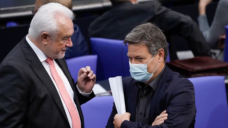 Kubicki (li.) teilt gerne aus - dieses Mal gegen Habeck.