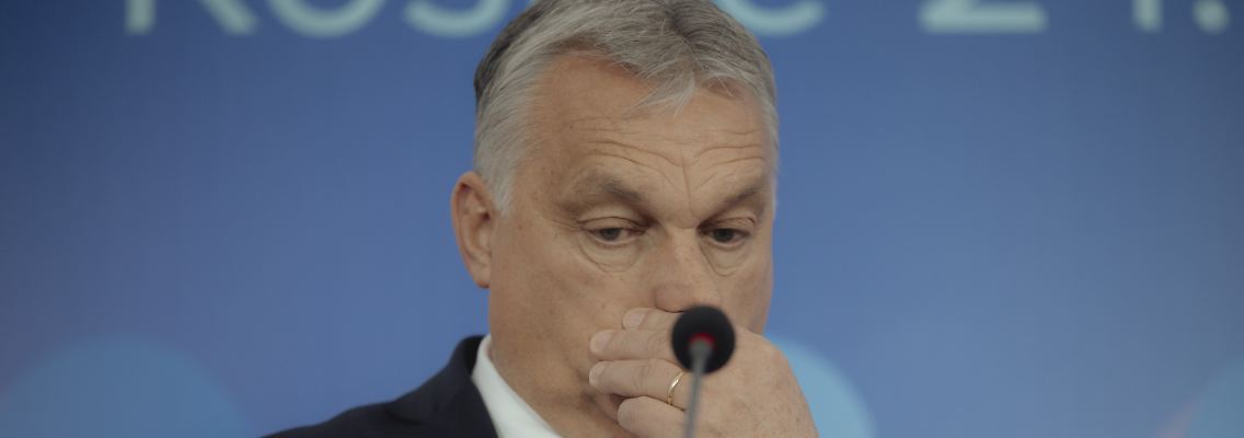 385785158.jpg