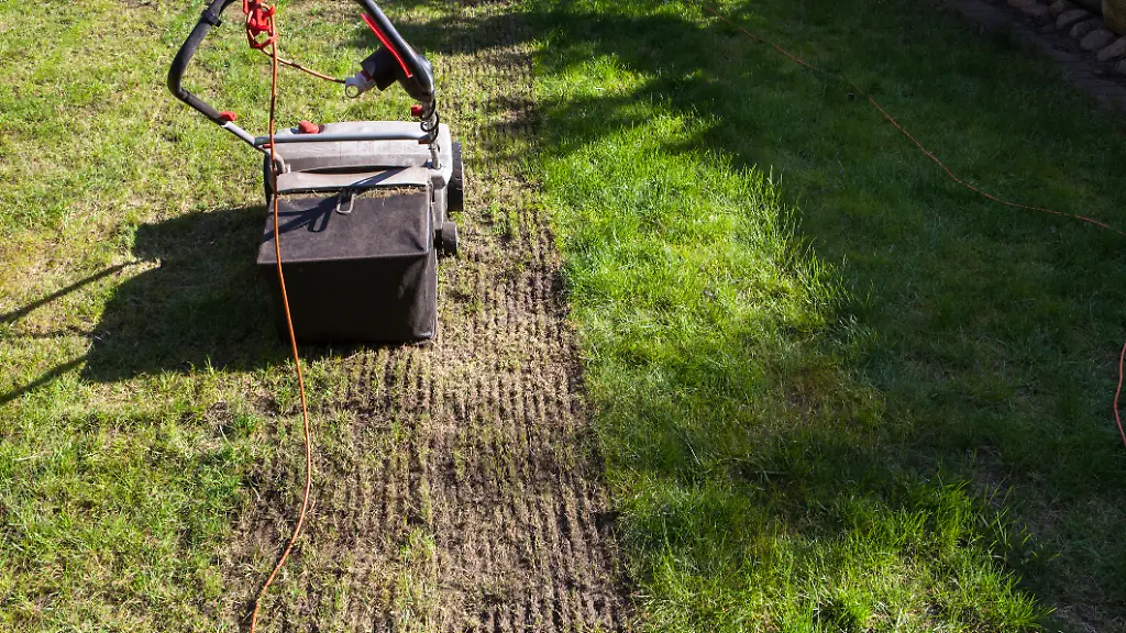 epi-219310881-GETTY-ISTOCK-Vertikutieren-foerder