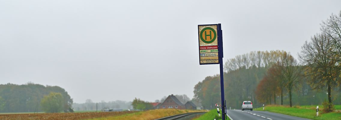 263215576.jpg
