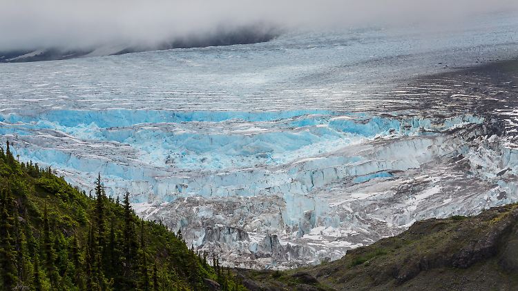 Mehrere unbekannte Viren aus dem Permafrost konnten von Forscherinnen und Forschern reanimiert werden.