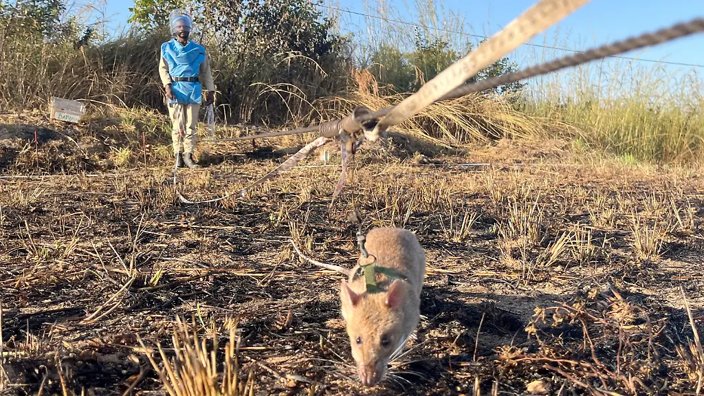 a7930cb22bfbaf2a3837d0663000ab2a