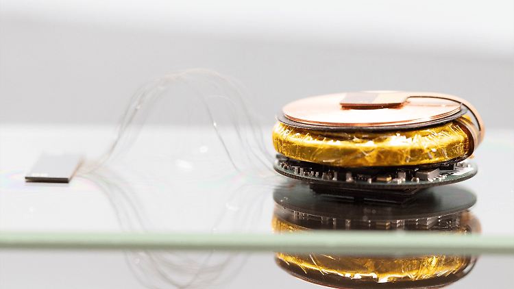 Der Gehirn-Chip soll einen Teil der Schädeldecke ersetzen.