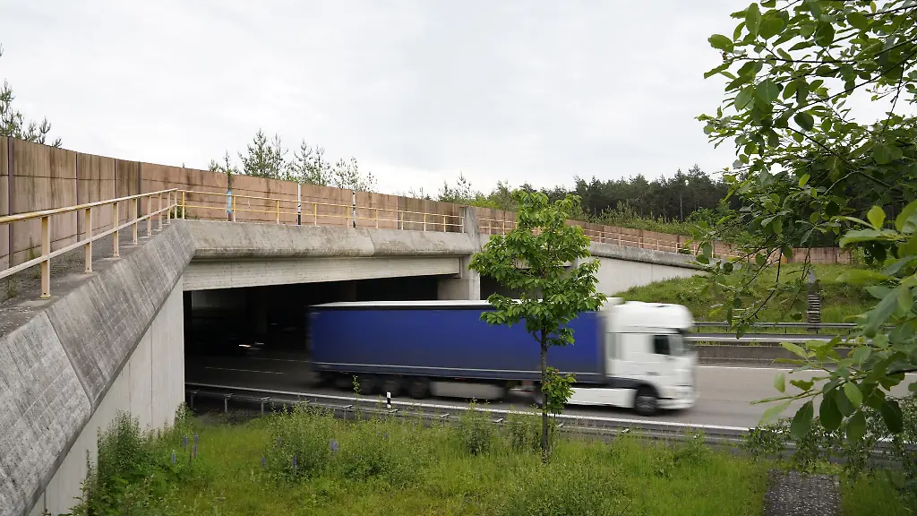 Eine-Gruenbruecke-bei-Huenfeld-Michelsrombach-ermoeglicht-Wildtieren-die-Querung-der-Autobahn