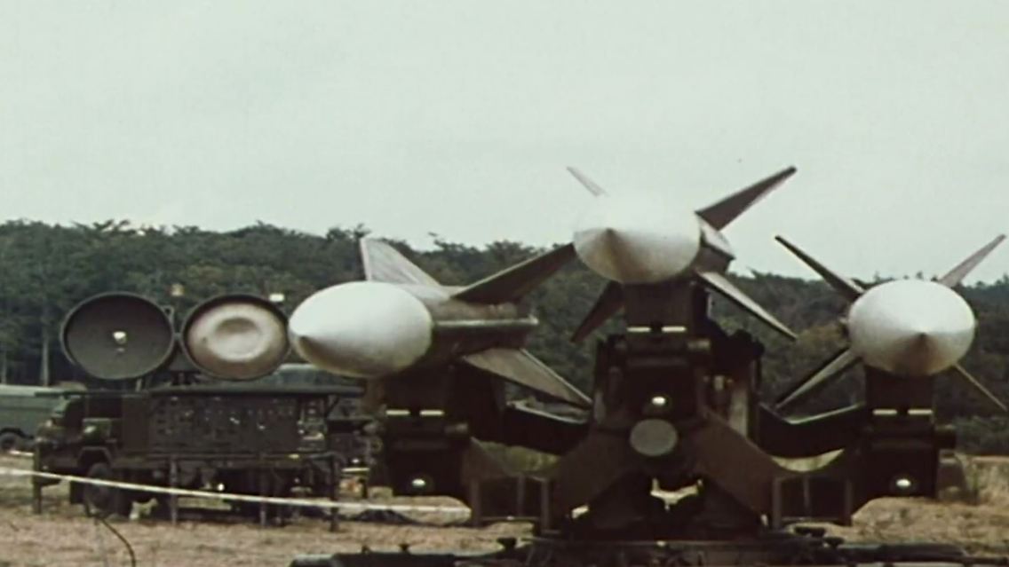 hawk.JPG