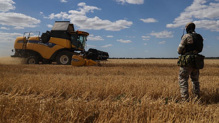 Russland soll rund 5,8 Millionen Tonnen Weizen in der Ukraine geraubt haben. 