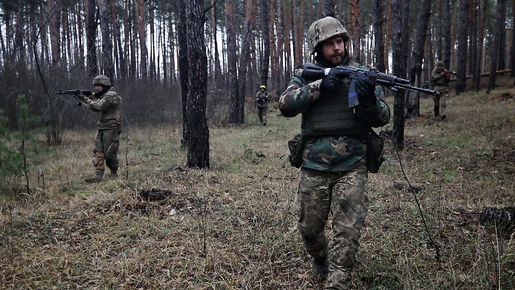 Ukrainische Soldaten nahe der Frontlinie im Osten des Landes. 