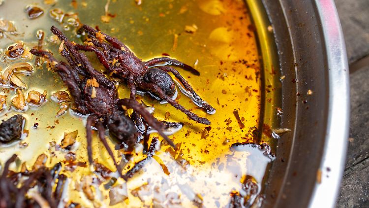 Die Vogelspinnen werden in einer Mischung aus Salz, Zucker, Fischsauce und Knoblauch knusprig gebraten.