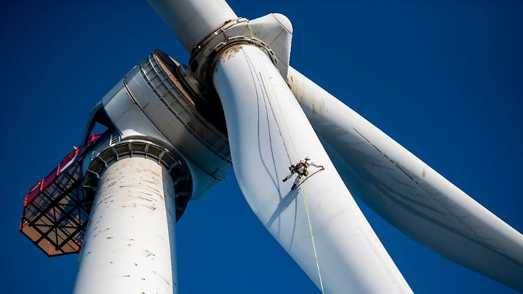 Die schlimmsten Befürchtungen der Branche sind wahr geworden: Donald Trump verbietet weitere Windparks an den amerikanischen Küsten.