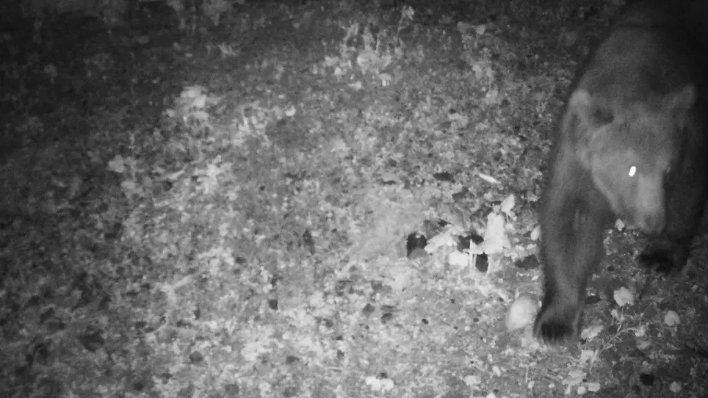 58bbaeda2b1c8ecb530e8ee95ce8ad3d