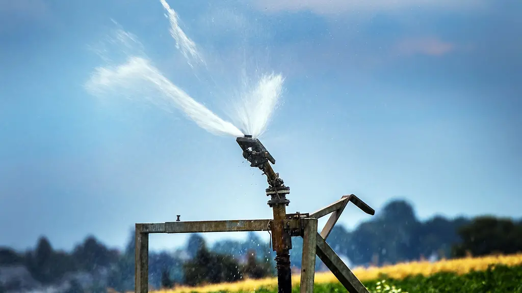 Ein-Feldsprenger-bewaessert-vor-den-Toren-der-Mainmetropole-einen-Kartoffelacker