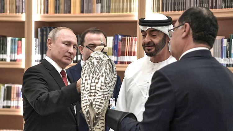 Wie Mohammed bin Salman pflegt auch Mohammed bin Sajid Al Nahjan gute internationale Kontakte. Auf dem Bild präsentiert der heutige emiratische  Präsident dem russischen Präsidenten Putin Jagdfalken.