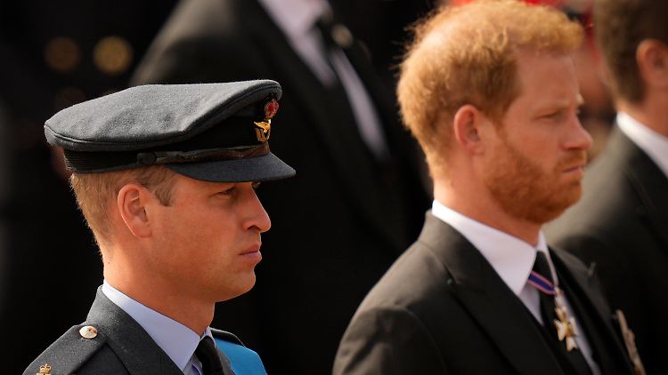 Das Verhältnis der Brüder William und Harry scheint gerade nicht das Beste.