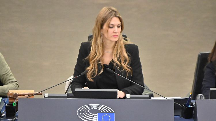 Kaili ist eine von 14 Vizepräsidentinnen und -präsidenten des EU-Parlaments.