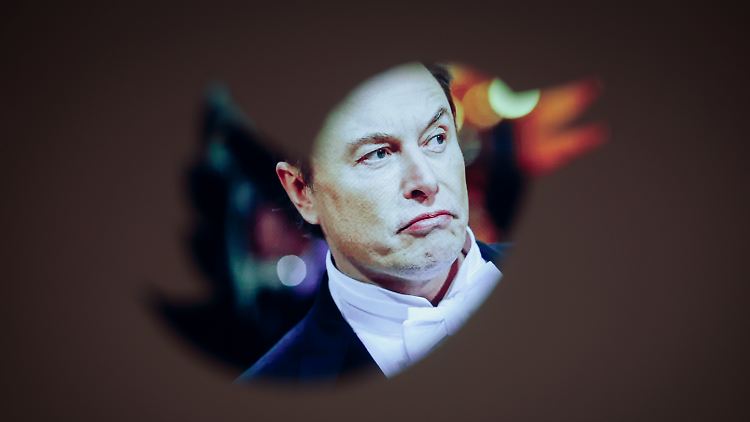 In seinen ersten Wochen als Twitter-Chef gibt es an Elon Musk ungewöhnlich viel Kritik. 