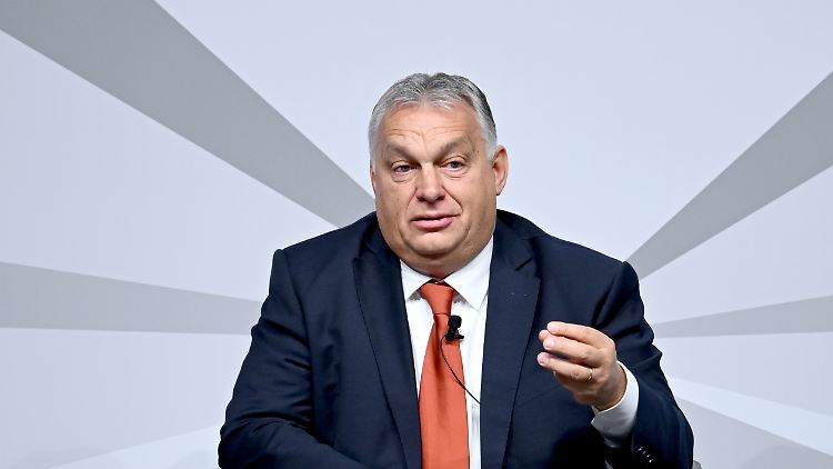 Bislang stehen vor allem Sozialdemokraten im Zentrum der Korruptionsermittlungen: Ungarns Regierungschef macht das gute Laune. 