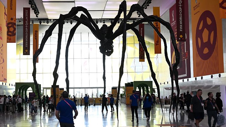 Eine Spinne umgarnt die Journalisten im Medienzentrum der WM.